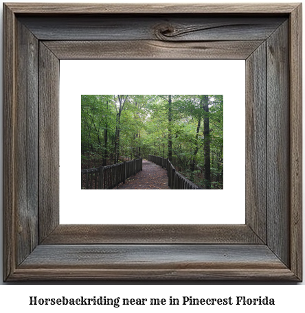 horseback riding near me in Pinecrest, Florida